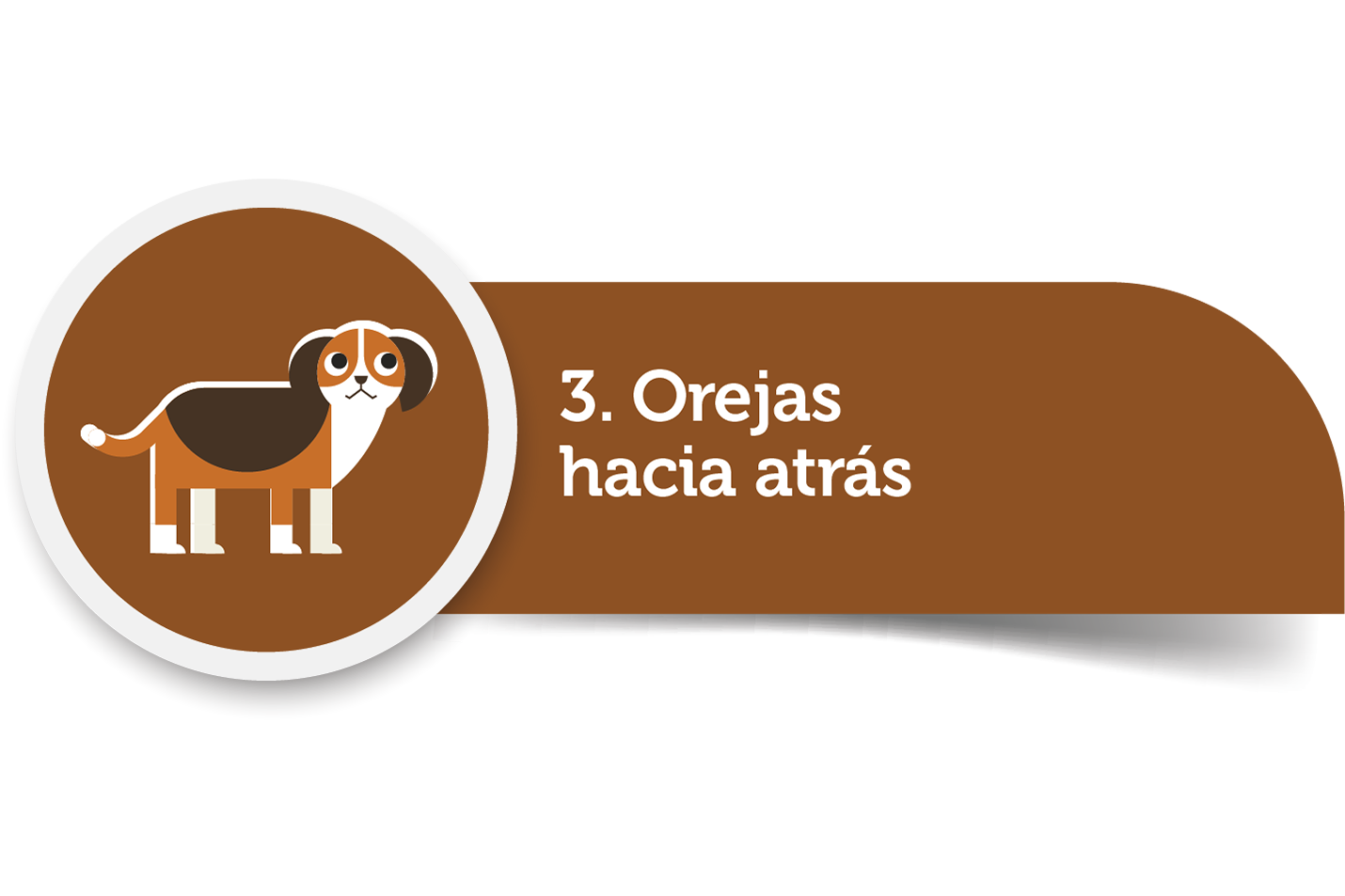 Imagen3.png